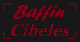 baffinlogo